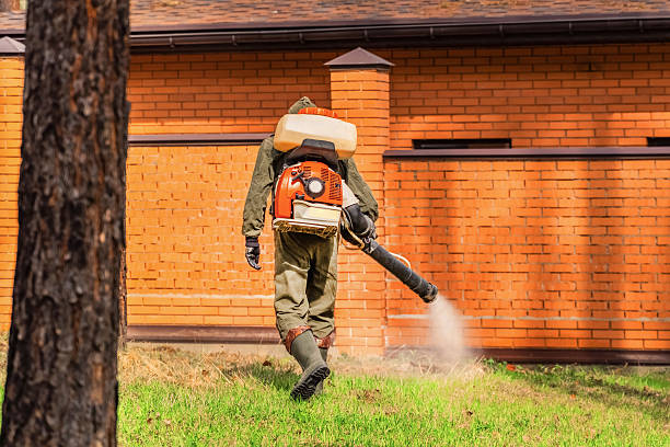 Trusted Emergency Pest Control service in Glen Head, NY - Nex Pest Control